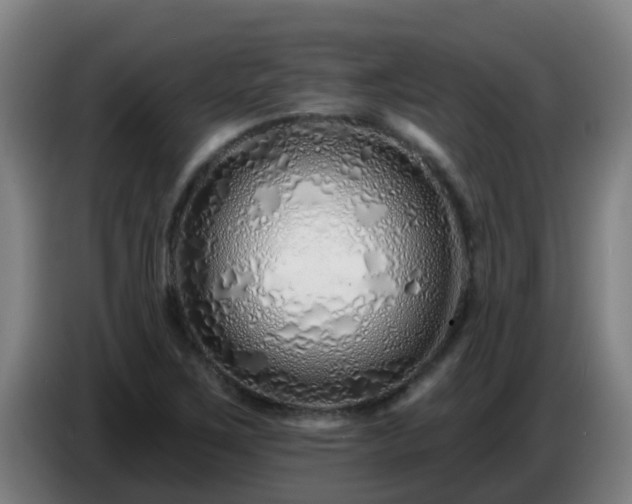 X0000086781267200704201817