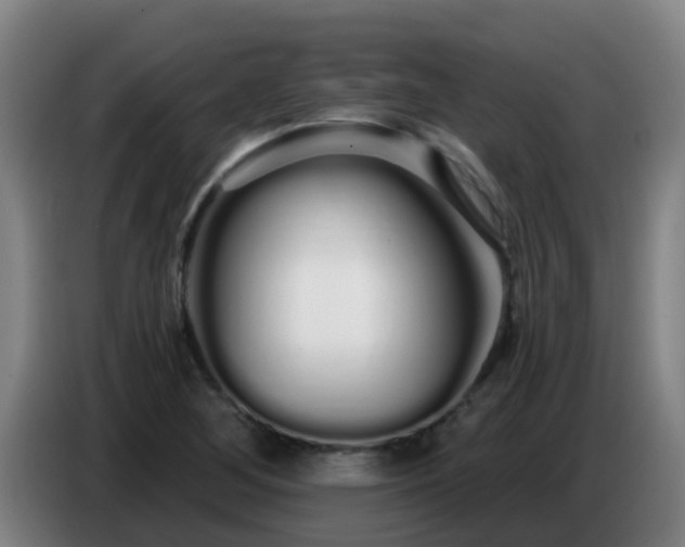 X0000086781268200704201817