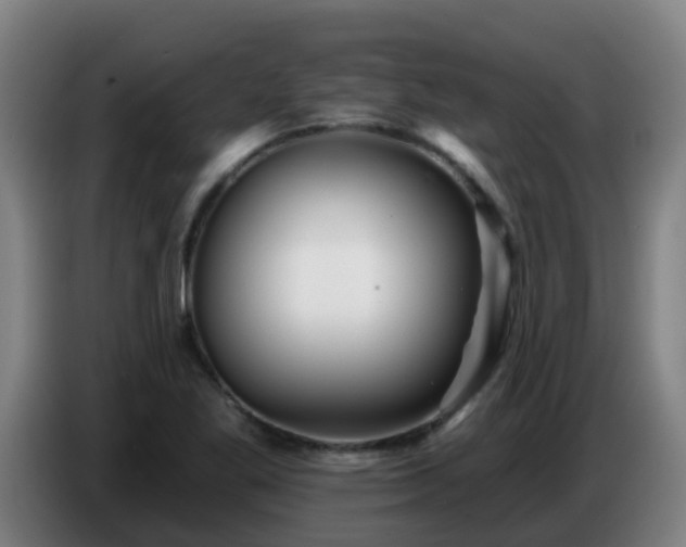 X0000086781269200704201817