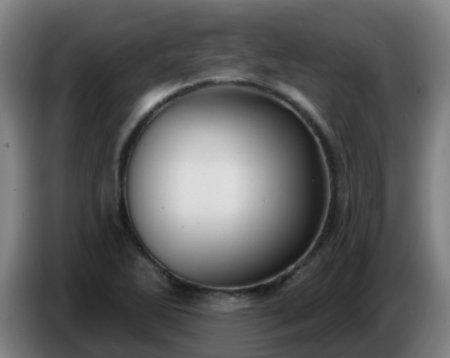 X0000086781270200704201817