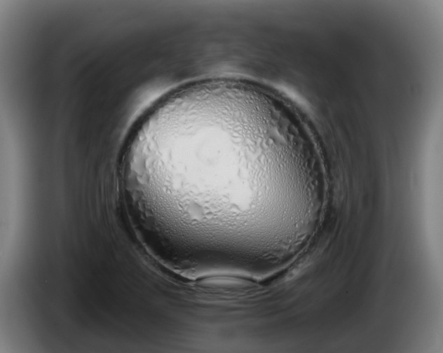 X0000086781271200704201817