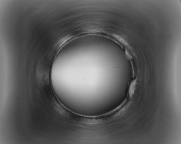 X0000086781273200704201817