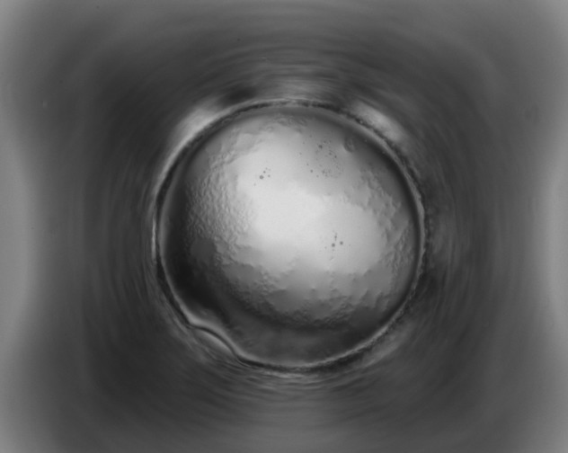 X0000086781275200704201817