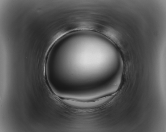 X0000086781276200704201817