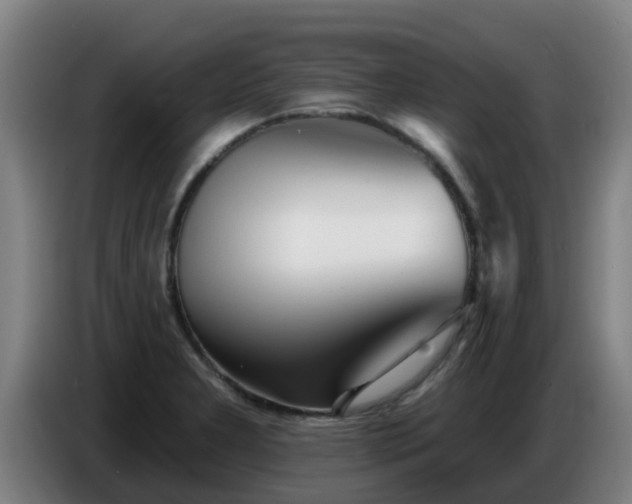 X0000086781277200704201817