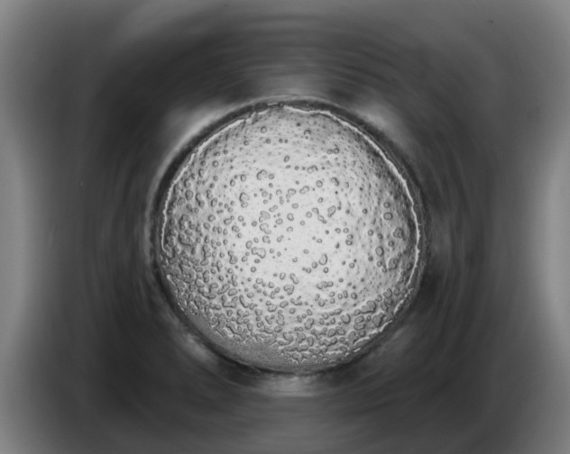 X0000086781278200704201817