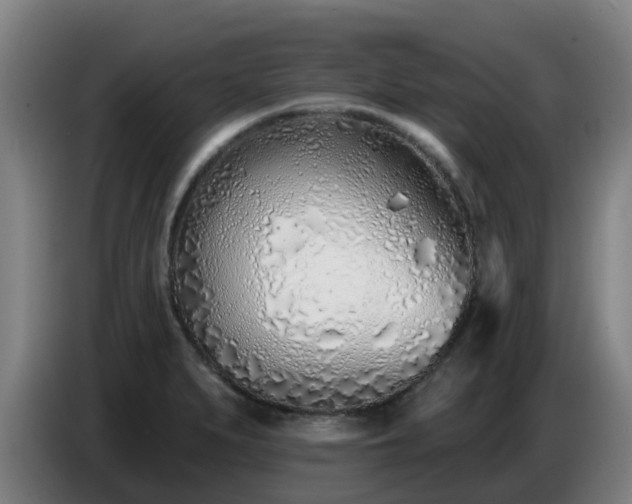 X0000086781279200704201817