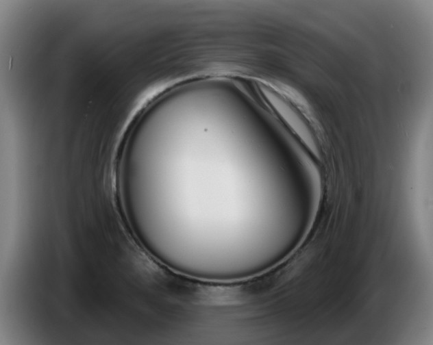 X0000086781280200704201817