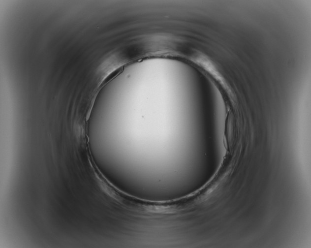 X0000086781281200704201817