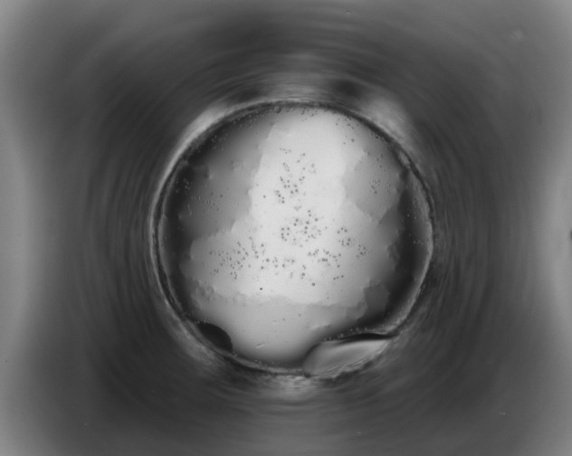 X0000086781283200704201817