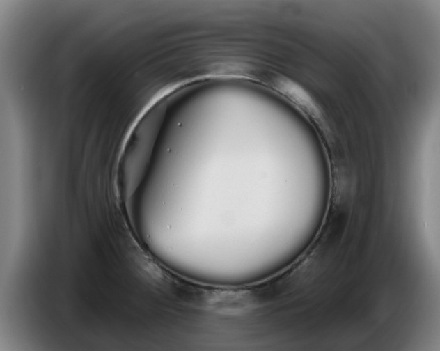 X0000086781284200704201817