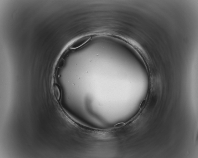 X0000086781288200704201817