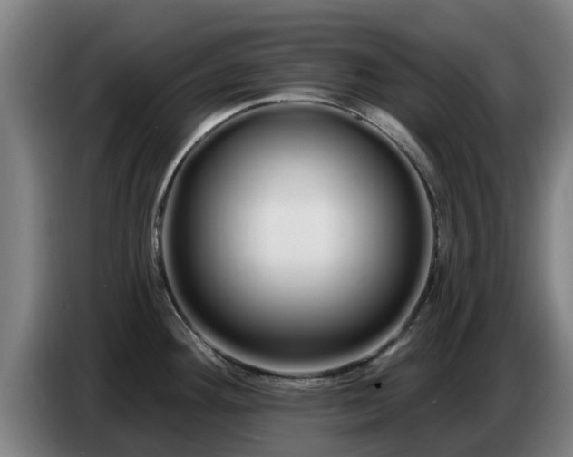 X0000086781292200704201817