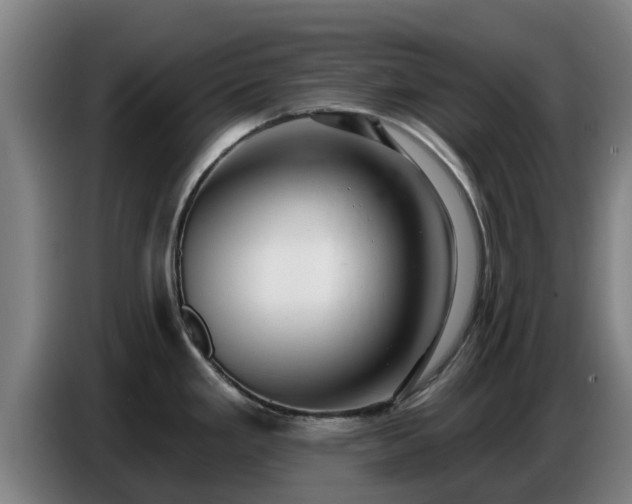 X0000086781293200704201817