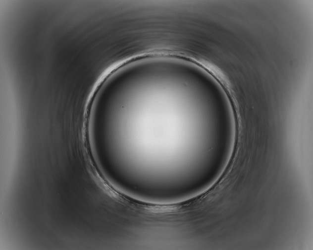 X0000086781296200704201817