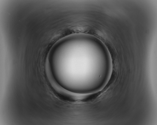 X0000086781297200704201816