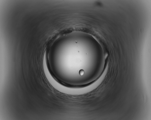 X0000086781298200704201816