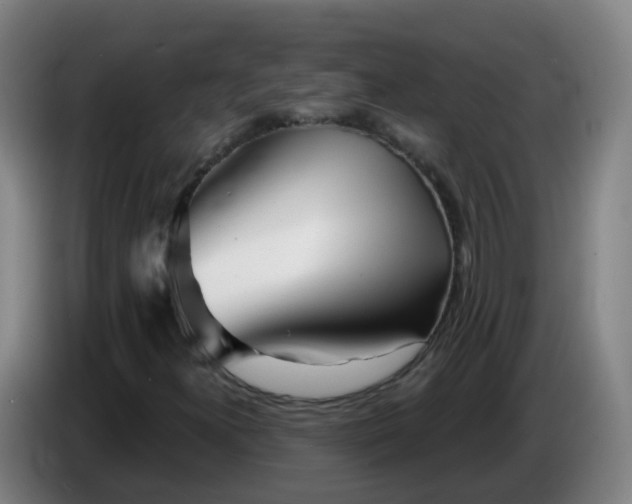 X0000086781300200704201816