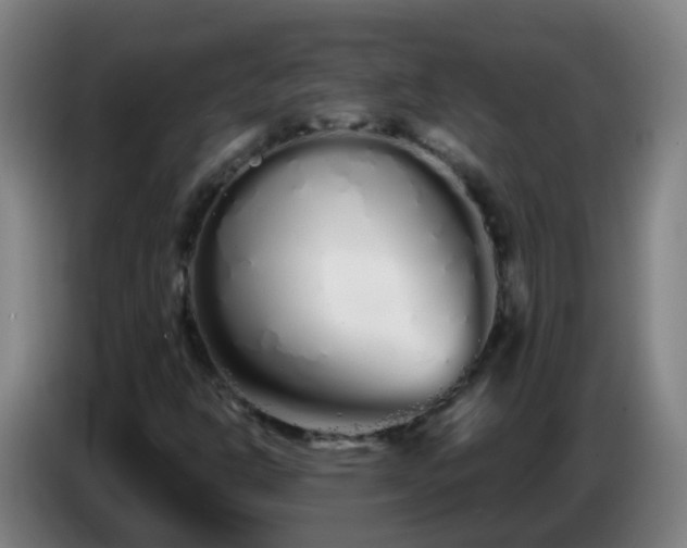 X0000086781302200704201816