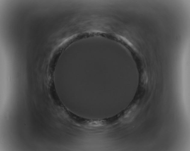 X0000086781303200704201816