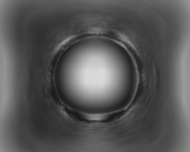 X0000086781304200704201816