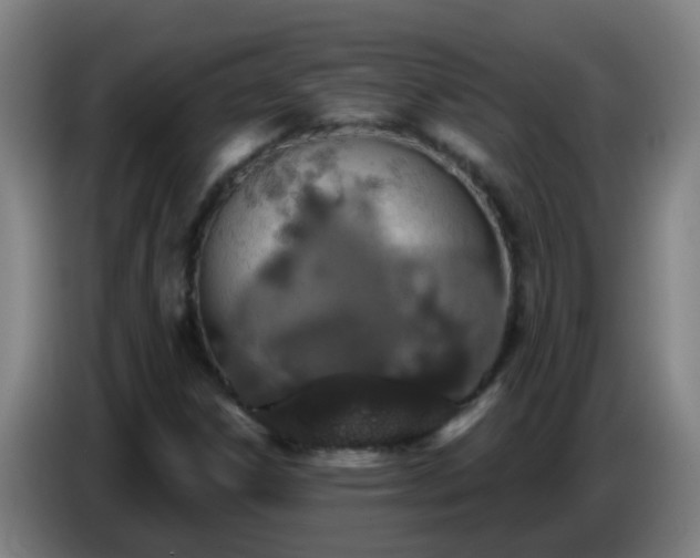 X0000086781306200704201816