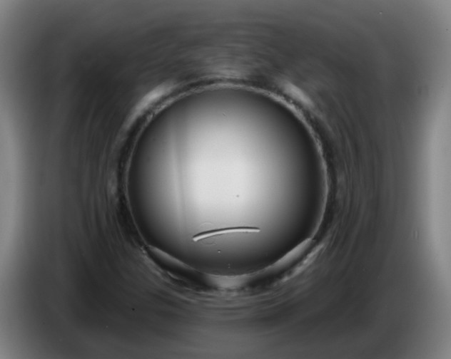 X0000086781307200704201816