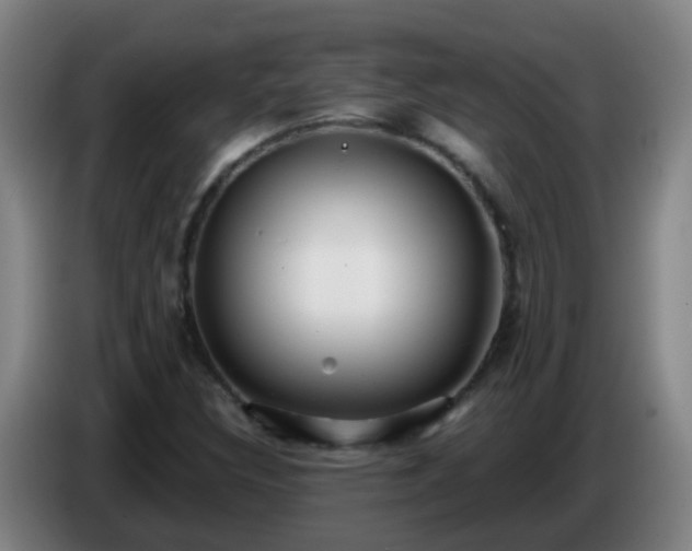 X0000086781308200704201816