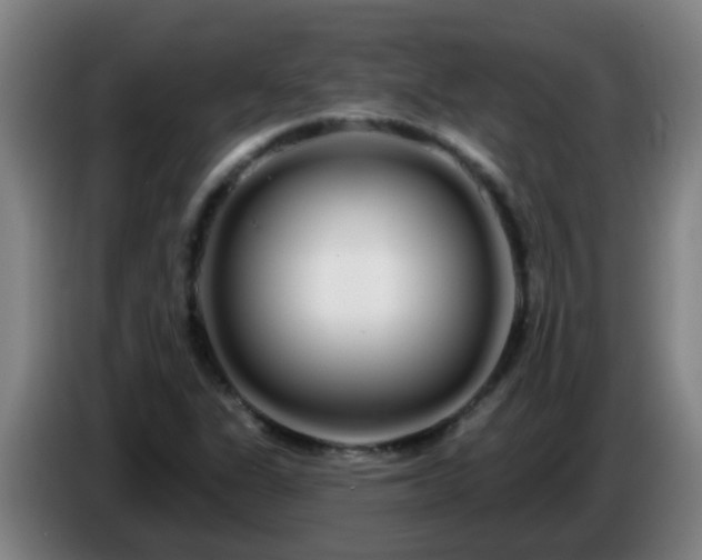 X0000086781311200704201816