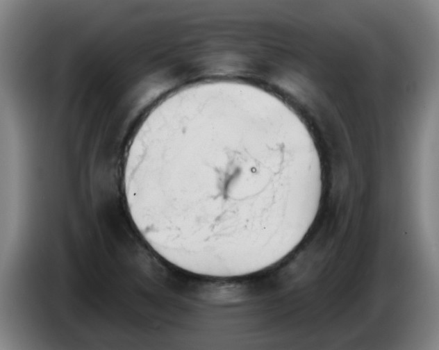 X0000086781314200704201816