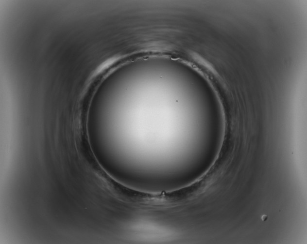 X0000086781315200704201816