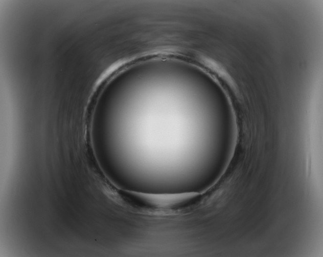 X0000086781316200704201816