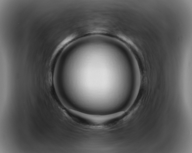 X0000086781317200704201816