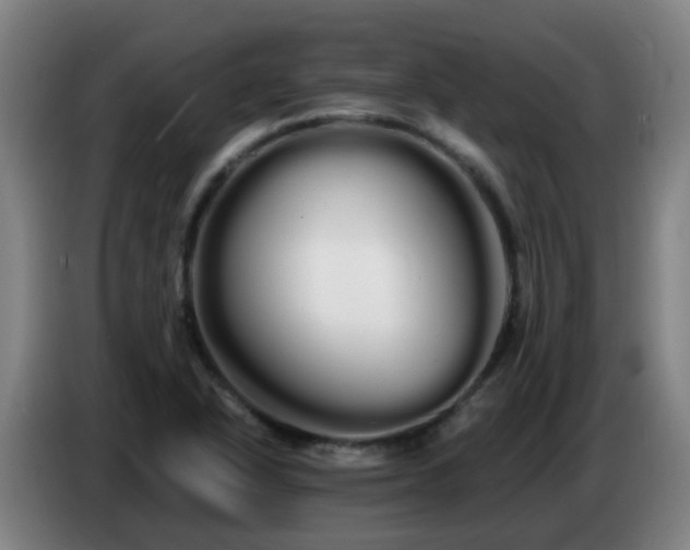 X0000086781318200704201816