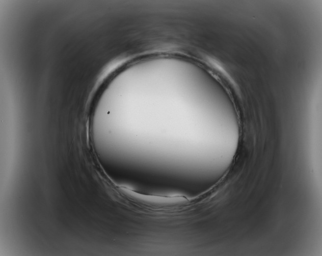 X0000086781320200704201816