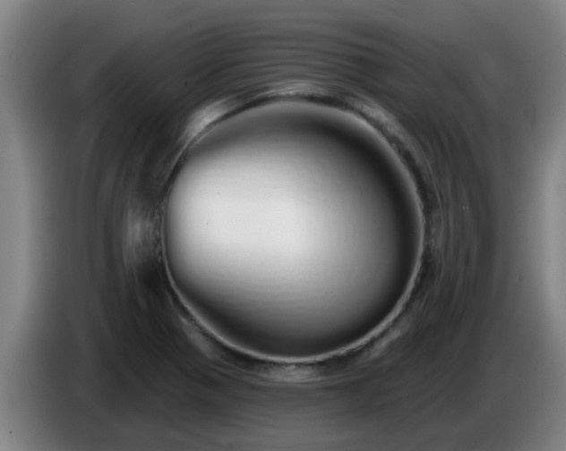 X0000086781321200704201816