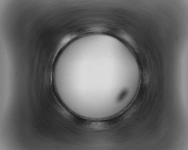 X0000086781322200704201816