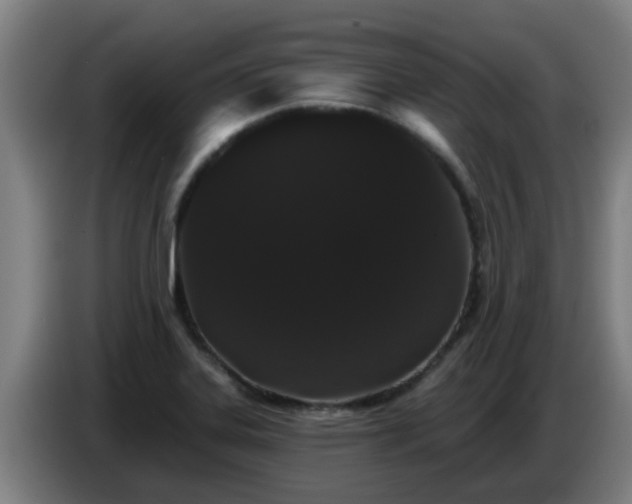 X0000086781323200704201816