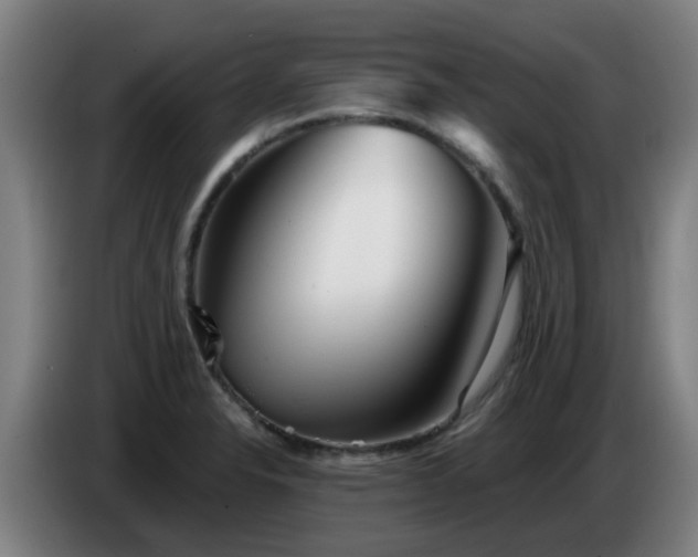 X0000086781326200704201816