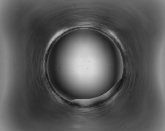 X0000086781328200704201816