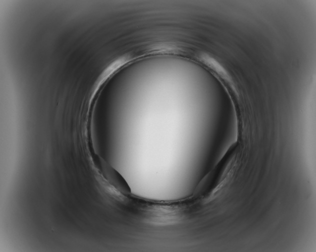 X0000086781330200704201816