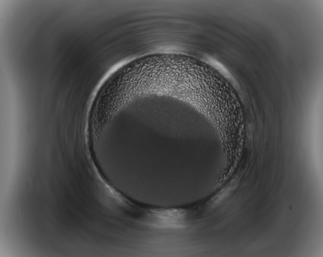 X0000086781331200704201816