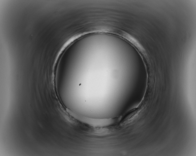 X0000086781332200704201816