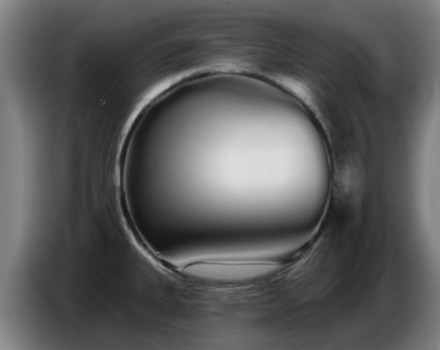 X0000086781335200704201817