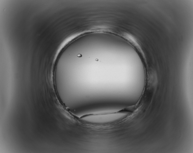 X0000086781336200704201817