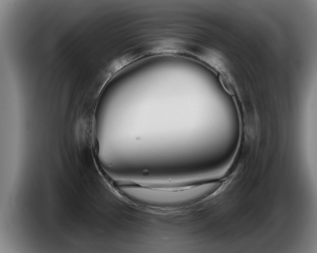 X0000086781337200704201817