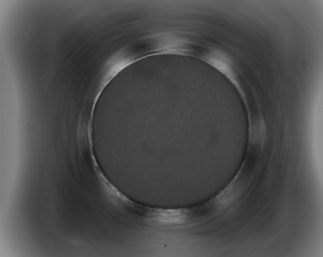 X0000086781338200704201817