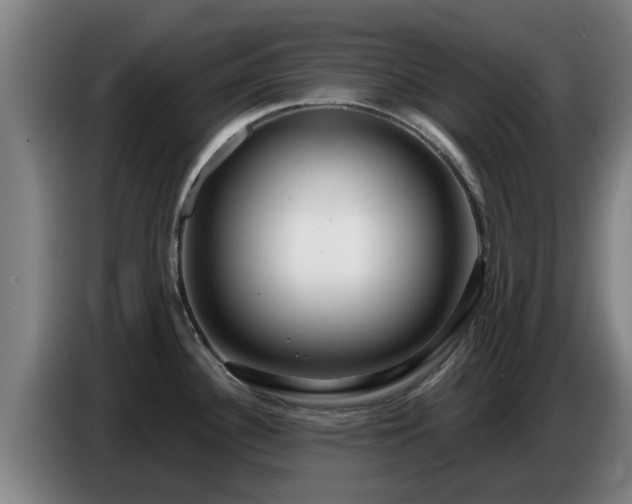 X0000086781340200704201817