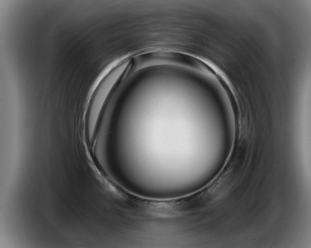 X0000086781341200704201817