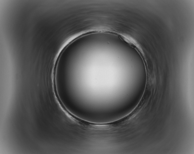 X0000086781343200704201817